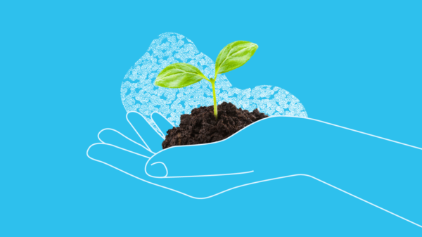 An illustrated hand is shown holding a sprouting plant, alluding to the concept of how to start a Roth IRA.